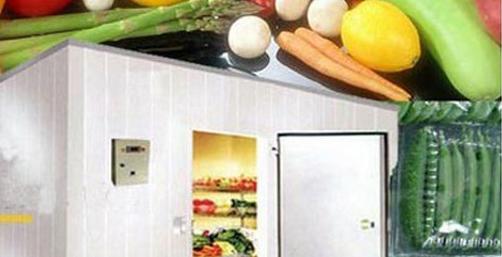 美国冷链物流值得我们学习的三大内容_物流搜