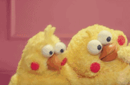 by2p8tabq6f8egnu!1200.gif