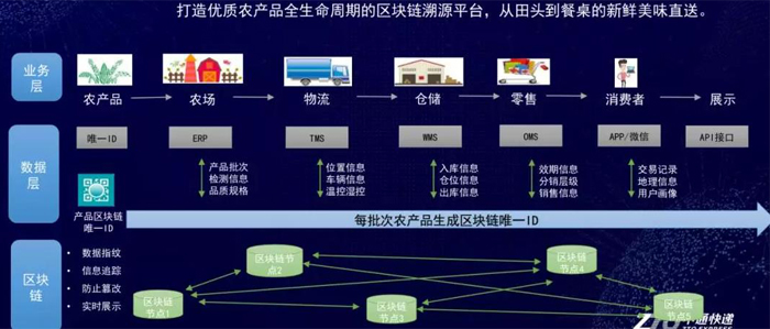 中通11.jpg