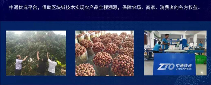 中通12.jpg